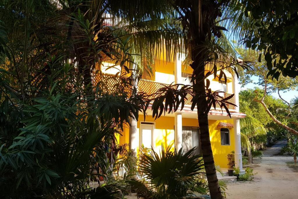 Marysol D10 Private Beach Next To Nomads 이슬라무헤레스 외부 사진